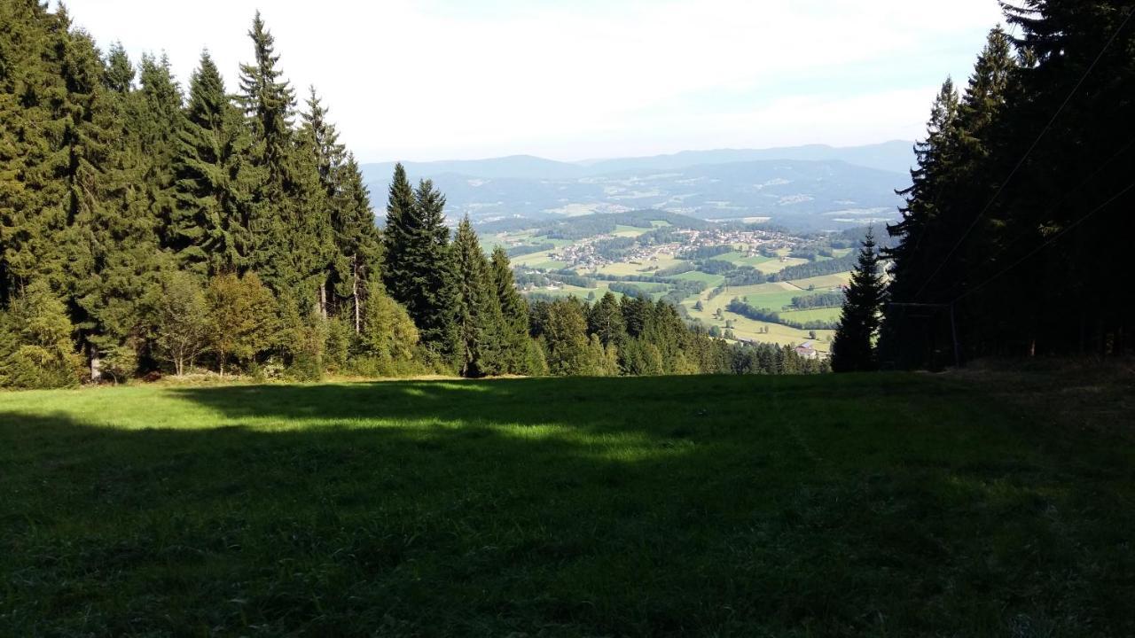 Herzerl Apartment Sankt Englmar Bagian luar foto