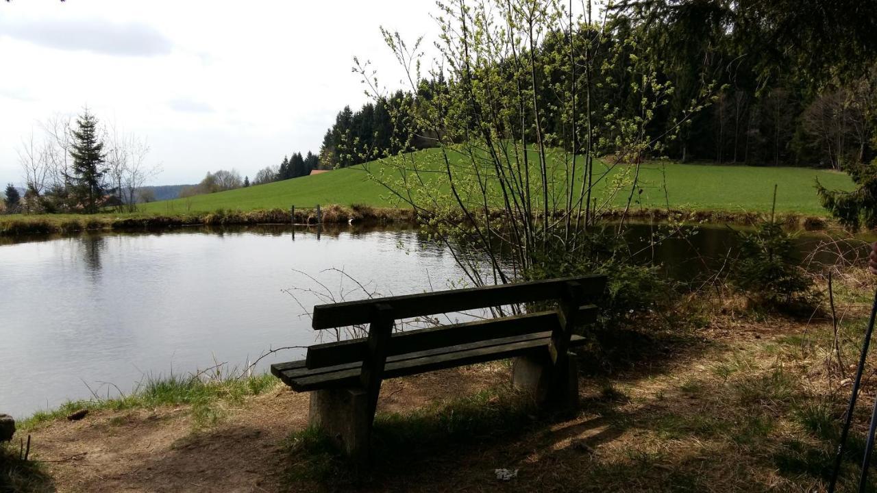 Herzerl Apartment Sankt Englmar Bagian luar foto