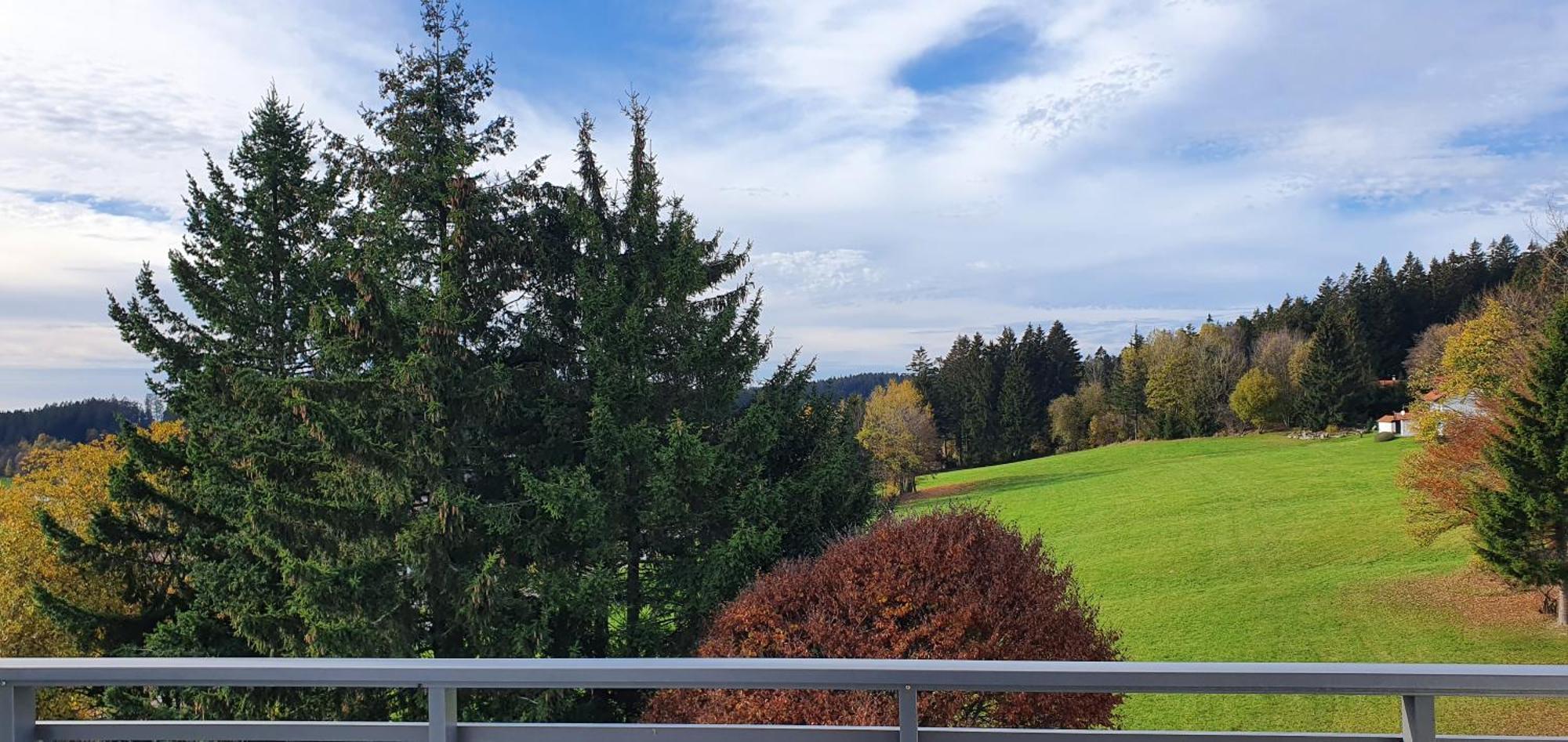 Herzerl Apartment Sankt Englmar Bagian luar foto